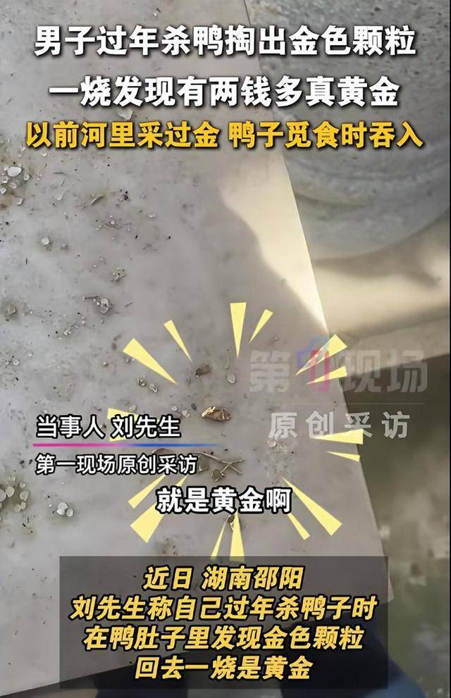 湖南一男子杀鸭从肚中剖出多颗金色颗粒，灼烧鉴定为黄金:成都朴真园艺有限公司品牌